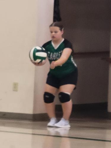 volleyball