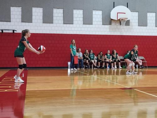 volleyball15