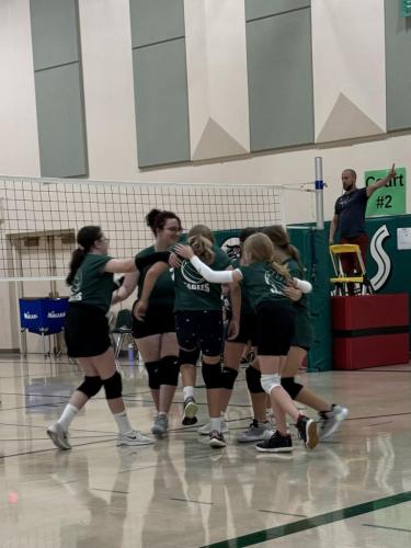 volleyball888d