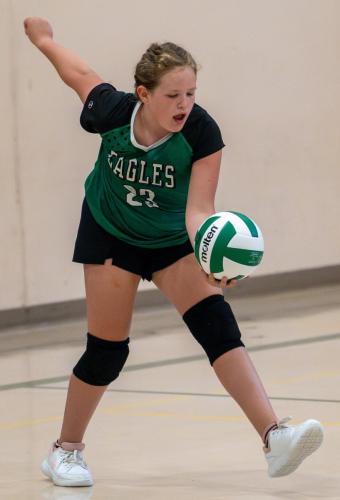 volleyballqf
