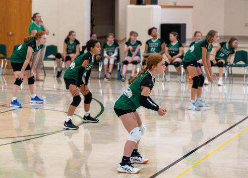 volleyballqh